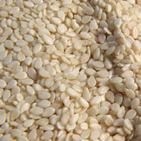 chinese sesame seed