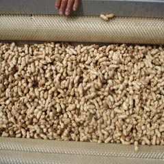 peanut cleaner