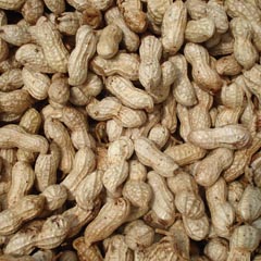 peanut cleaner